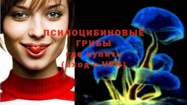 ешки Михайлов
