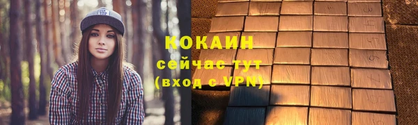 крисы Великий Новгород