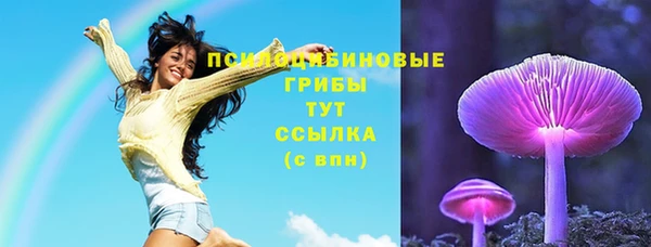 ешки Михайлов