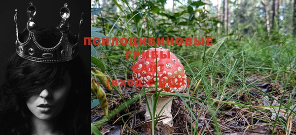 МДМА Михайловка