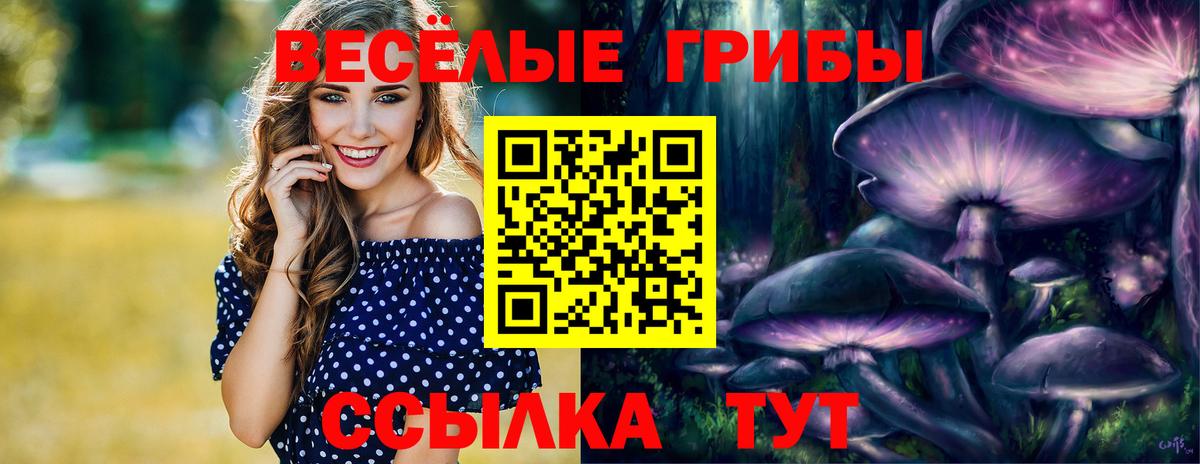 Псилоцибиновые грибы MAGIC MUSHROOMS Сарапул